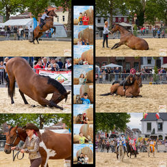 fete1 copie.jpg