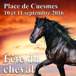 affiche cheval 2016 recto.jpg